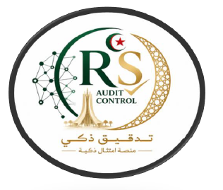 RS AUDIT CONTROL